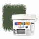 Zinsser Allcoat Pintura Exterior para Paredes RAL 6003 Verde oliva - 10 litro