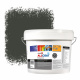 Zinsser Allcoat Pintura Exterior para Paredes RAL 6006 Verde oliva grisáceo - 10 litro