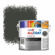 Zinsser Allcoat Per Pareti Per Uso Esterno RAL 6006 Verde grigio oliva - 2,5 litro