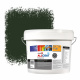 Zinsser Allcoat Exterior Muurverf RAL 6007 Flessengroen - 10 liter