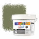 Zinsser Allcoat Exterior Wall Paint RAL 6013 Reed green - 10 liter