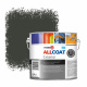 Zinsser Allcoat Exterior Wall Paint RAL 6015 Black olive - 2,5 liter