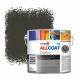 Zinsser Allcoat Exterior Wall Paint RAL 6022 Brown olive - 2,5 liter