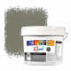 Zinsser Allcoat Exterior Außen-Wandfarbe RAL 7003 Moosgrau - 10 liter