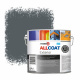 Zinsser Allcoat Peinture murale extérieure RAL 7011 Gris fer - 2,5 litre