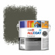 Zinsser Allcoat Peinture murale extérieure RAL 7013 Gris brun - 2,5 litre