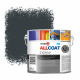 Zinsser Allcoat Exterior Wall Paint RAL 7016 Anthracite grey - 2,5 liter