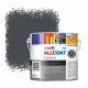 Zinsser Allcoat Exterior Wall Paint RAL 7024 Graphite grey - 2,5 liter